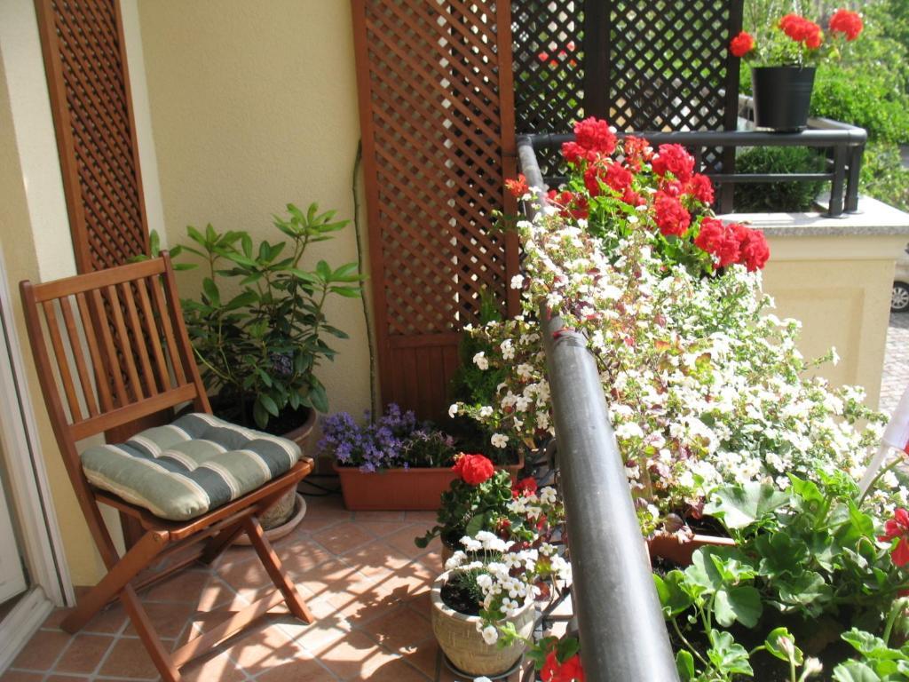 شقة Patio Mare Amber سوبوت المظهر الخارجي الصورة